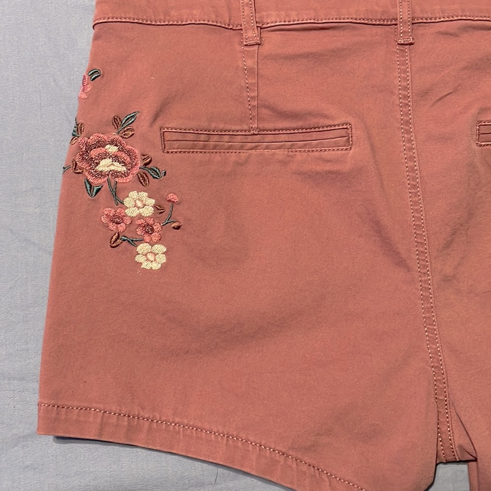 Express Shorts - Picture 7 of 9